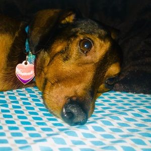 Meet your Posher, Janelle